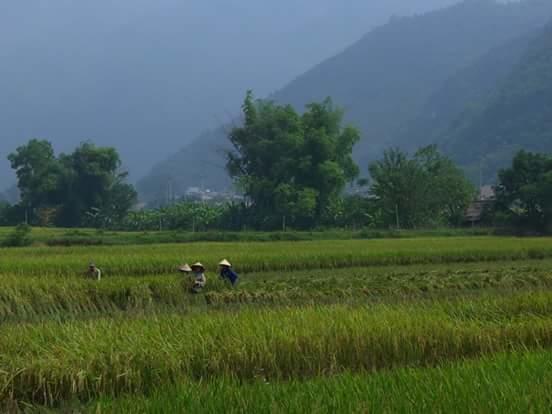 Linh Soi Homestay Mai Chau Εξωτερικό φωτογραφία