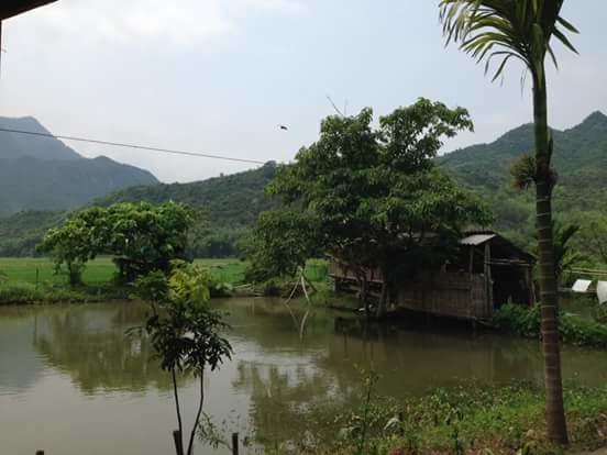 Linh Soi Homestay Mai Chau Εξωτερικό φωτογραφία